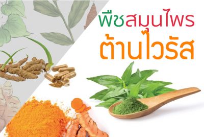 พืชสมุนไพร อาหาร อาหารเสริม หรือ ผลิตภัณฑ์ตัวไหนบ้างที่ช่วยป้องกันและลดความเสี่ยงของโรค “โคโรน่า” ที่ระบาดอยู่ในตอนนี้ได้บ้าง