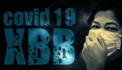 ดร.อนันต์ นักไวรัสวิทยาเผย ใกล้เข้ามาแล้ว โควิด-19 สายพันธุ์ใหม่ XBB