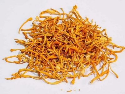 “ถั่งเช่าสีทอง” เป็นเห็ดราคนละชนิดกับถั่งเช่าแท้ ไม่มีสรรพคุณบำรุงไต ซ้ำทำไตเสื่อมเร็ว!